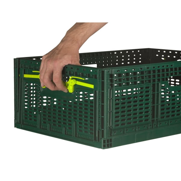 Klappbox Faltbox Grün mit Hand 2